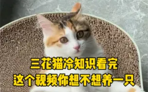 Download Video: 三花猫冷知识，看完这个视频你想不想养一只