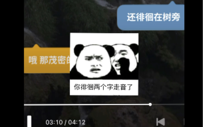 自 己 人,别 开 腔!!!!哔哩哔哩bilibili