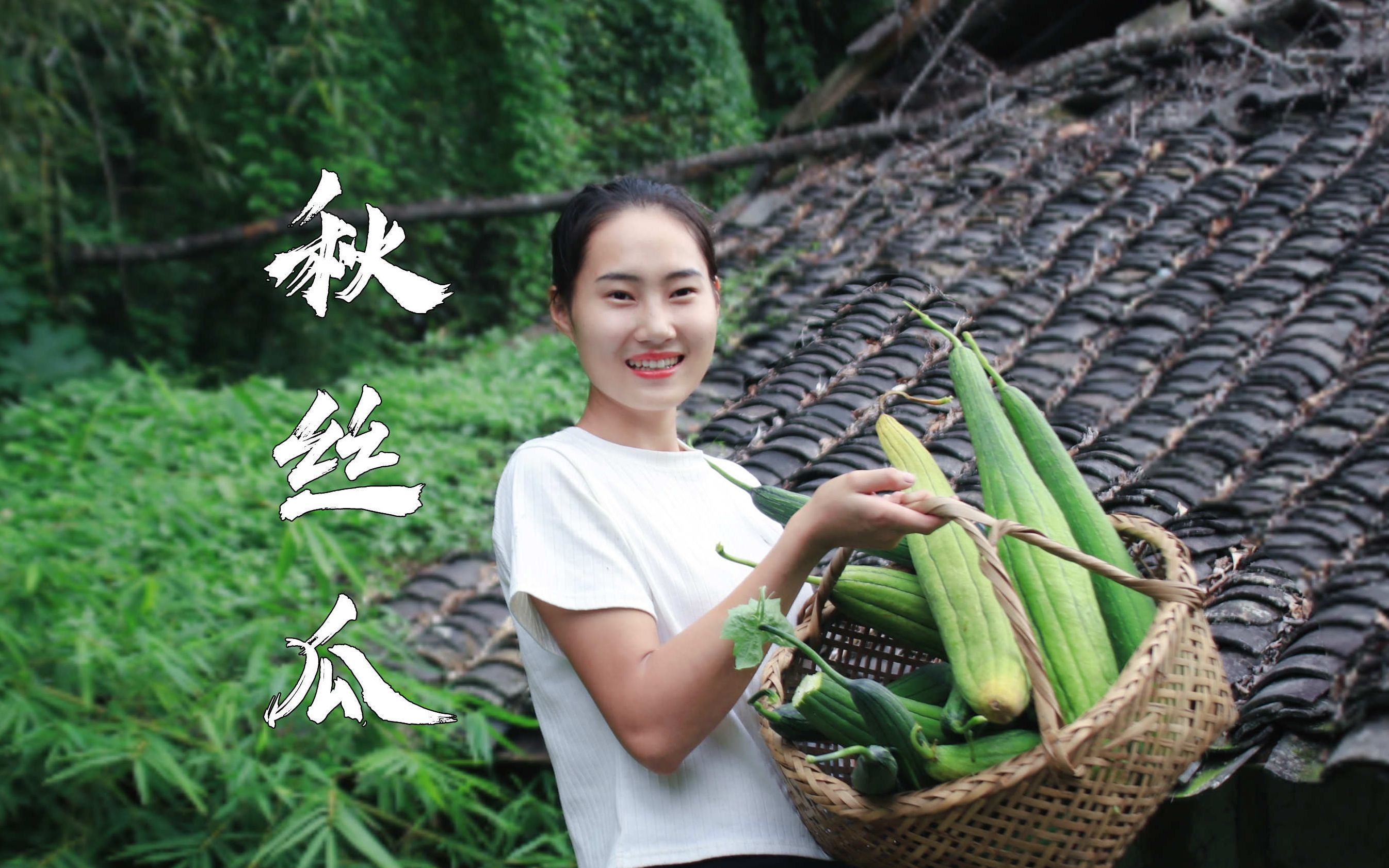 自家菜地里收了一大篮子秋丝瓜!做成鲜掉眉毛的丝瓜汤哔哩哔哩bilibili