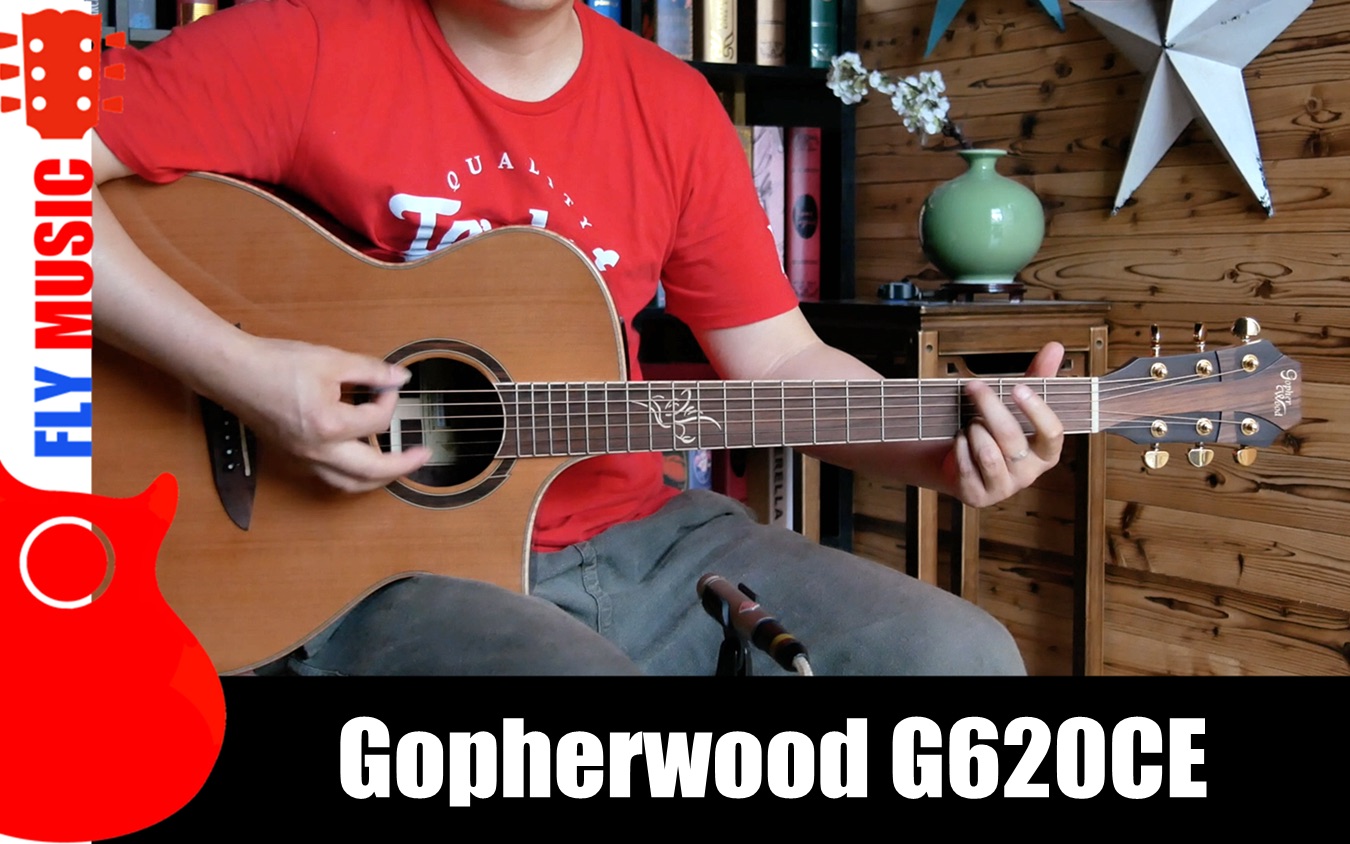 神奇的音柱!歌斐木Gopherwood G620CE面背单板吉他评测哔哩哔哩bilibili