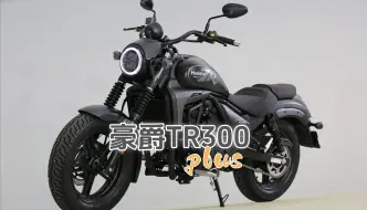 Download Video: 热门巡航再进化，豪爵TR300 plus抢先看