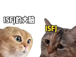 Télécharger la video: 16人格坠入爱河之ISFJ