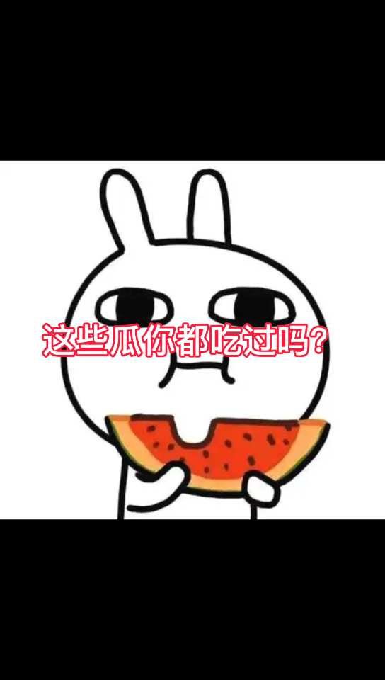 瓜瓜合集,这些瓜你都吃过吗?哔哩哔哩bilibili