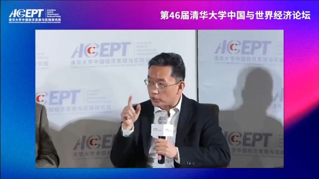 [图]徐高，李稻葵等-第46届清华大学中国与世界经济论坛