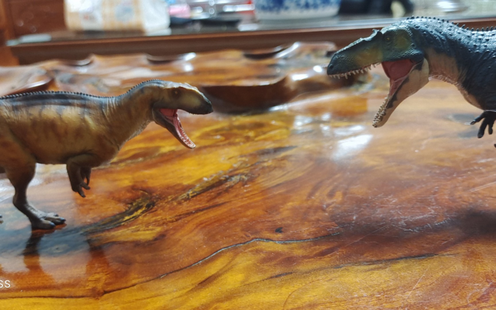 当上游永川龙看到了蛮龙狩猎马门溪龙的视频时并要求单挑