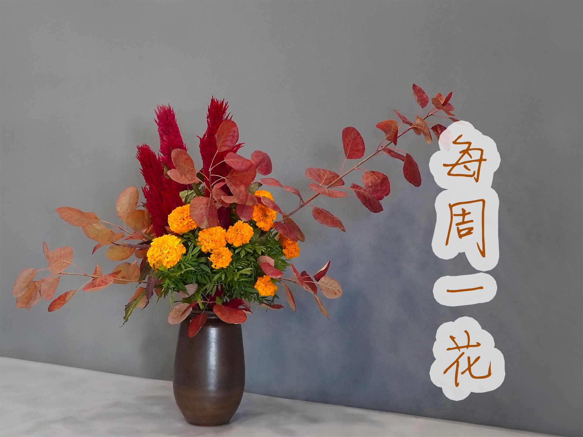 【大叔说花】每周一花206/黄栌火炬万寿菊/秋色家庭生活居家花瓶插花