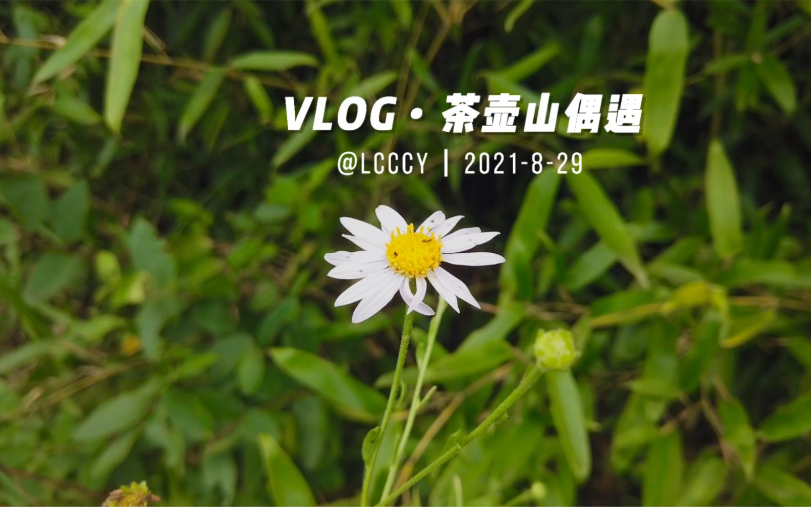 合肥周边游—茶壶山哔哩哔哩bilibili