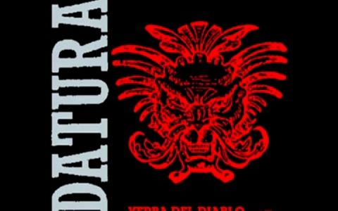 90年代迷幻电音Datura  Yerba Del Diablo 1991 (2001 Remix)意大利哔哩哔哩bilibili