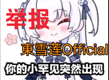 如何用官方手段举报东雪莲 Official?哔哩哔哩bilibili