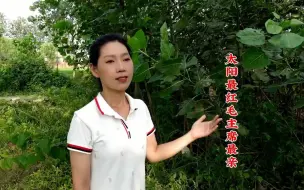 Video herunterladen: 夏日翻唱《太阳最红毛主席最亲》歌声感人至深，太好听了