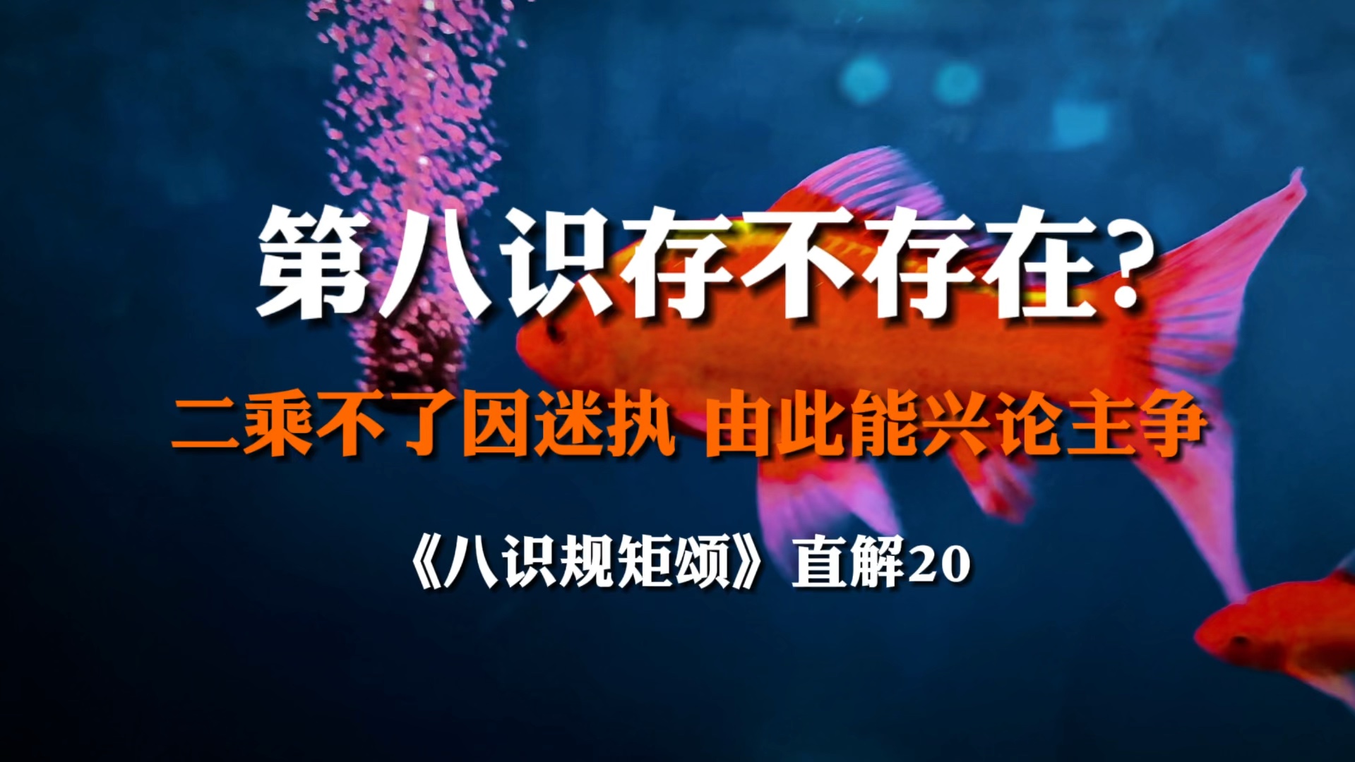 第八识到底存不存在?佛陀为什么在小乘的经论里不讲第八识呢?证明第八识存在的理由是什么?哔哩哔哩bilibili