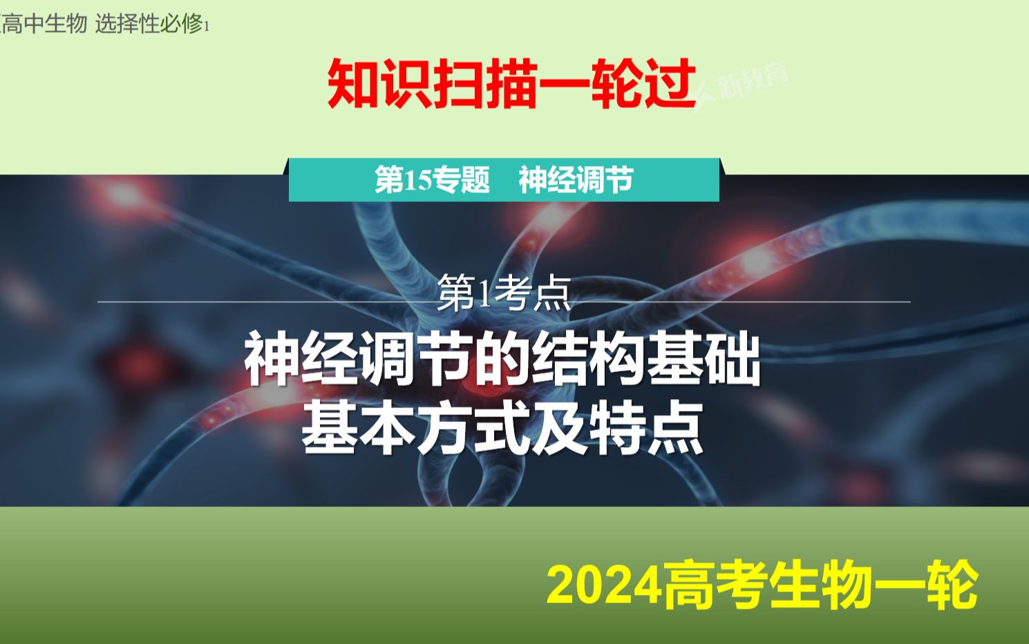 151神经调节的结构基础基本方式及特点哔哩哔哩bilibili