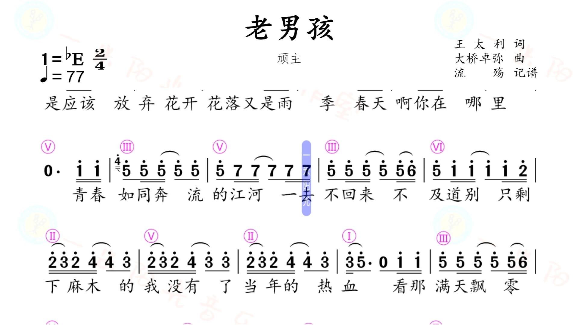 老男孩——(有旋律)动态简谱哔哩哔哩bilibili