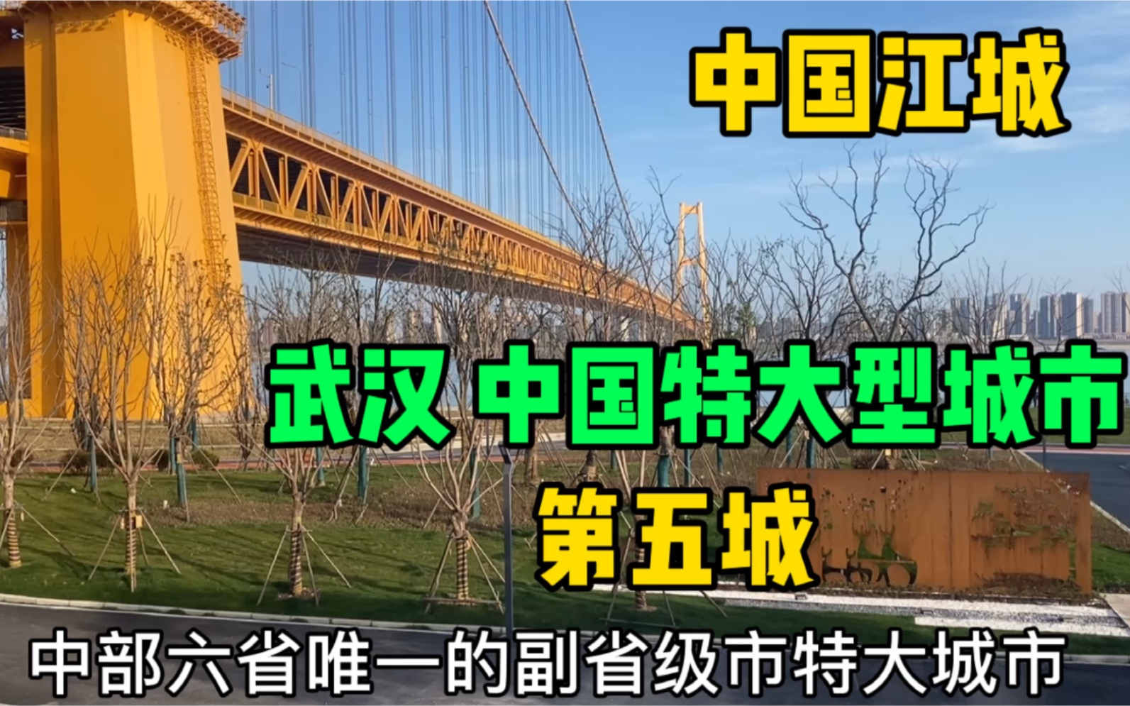 实拍武汉市中心,太震撼了!不愧为中国特大型城市,比成都繁华哔哩哔哩bilibili