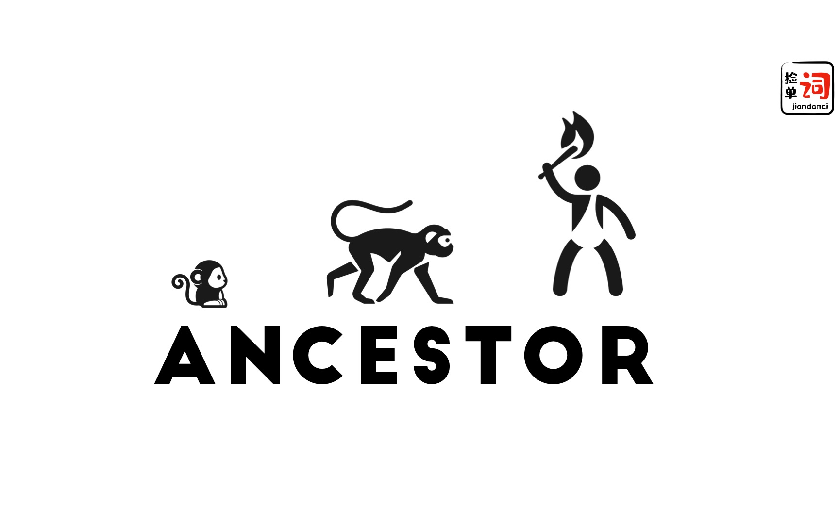 每日一词,ancestor