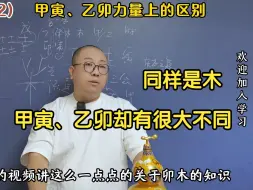 Download Video: 甲寅、乙卯力量上的区别；如何分析木属性对自己的影响