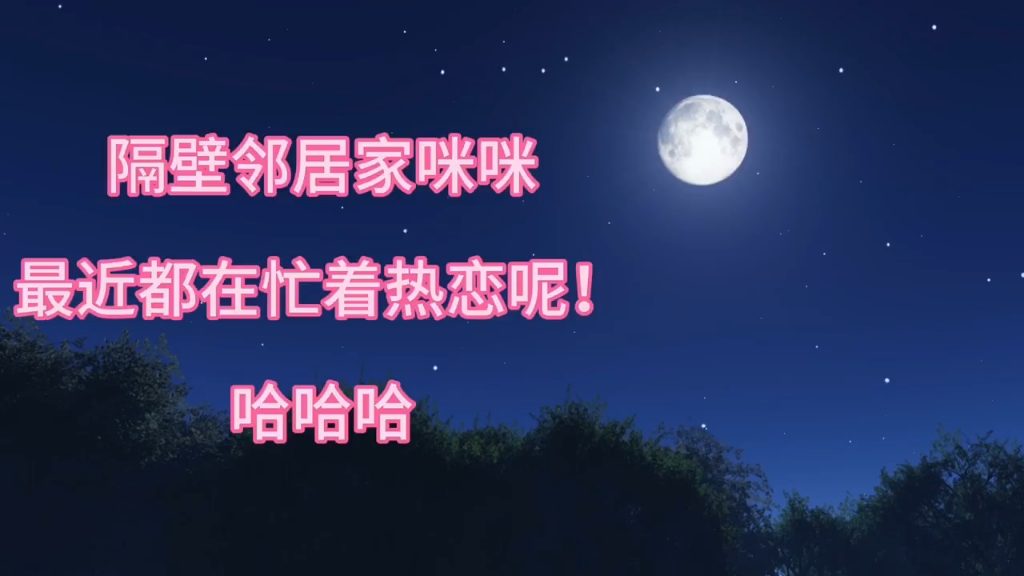 【实时占卜】浅算免费!!准到离谱!!哔哩哔哩bilibili