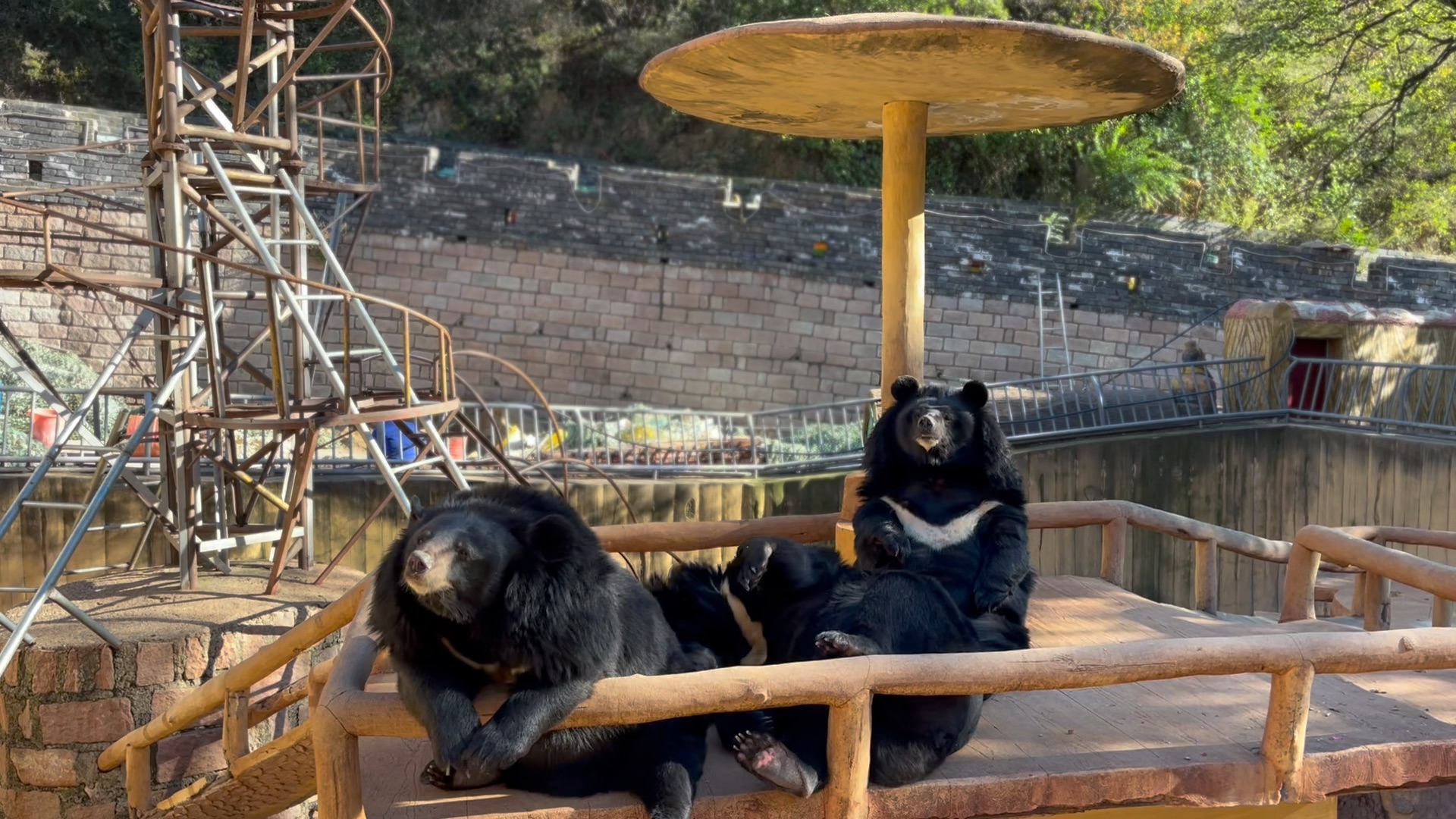 【杜比视界】iphone13电影模式瞎拍测试1