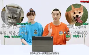 Download Video: 【N.Flying】【两个傻小子S3】中字Ep.01 <*天下第一配音大赛* 如果我的宠物会说话的话?!>