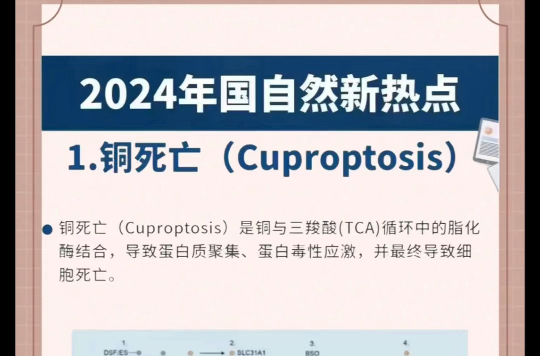 2024年国自然医学新热点,看哔哩哔哩bilibili