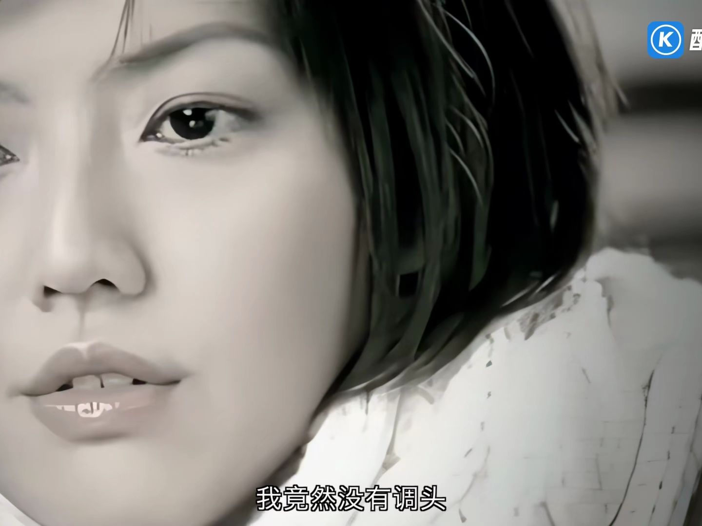 孙燕姿 - 开始懂了