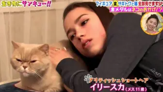 トコトン掘り下げ隊 18年09月19日 生き物にサンキュー 犬 ネコを飼うということ 哔哩哔哩 Bilibili