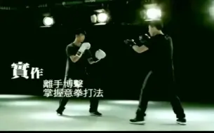 Download Video: 香港大成拳(意拳)实战派讲解拳理实作