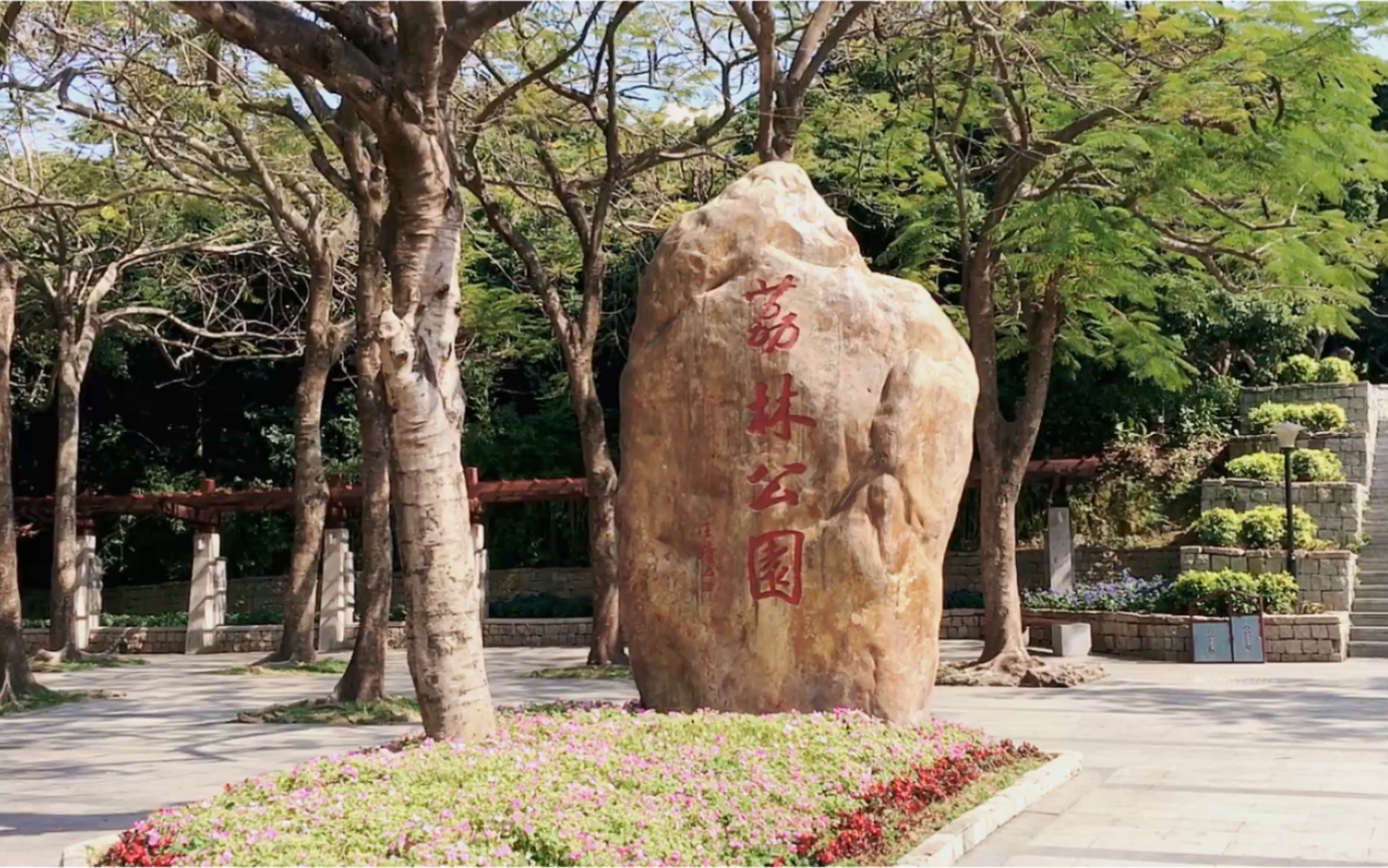 打卡深圳南山荔林公园