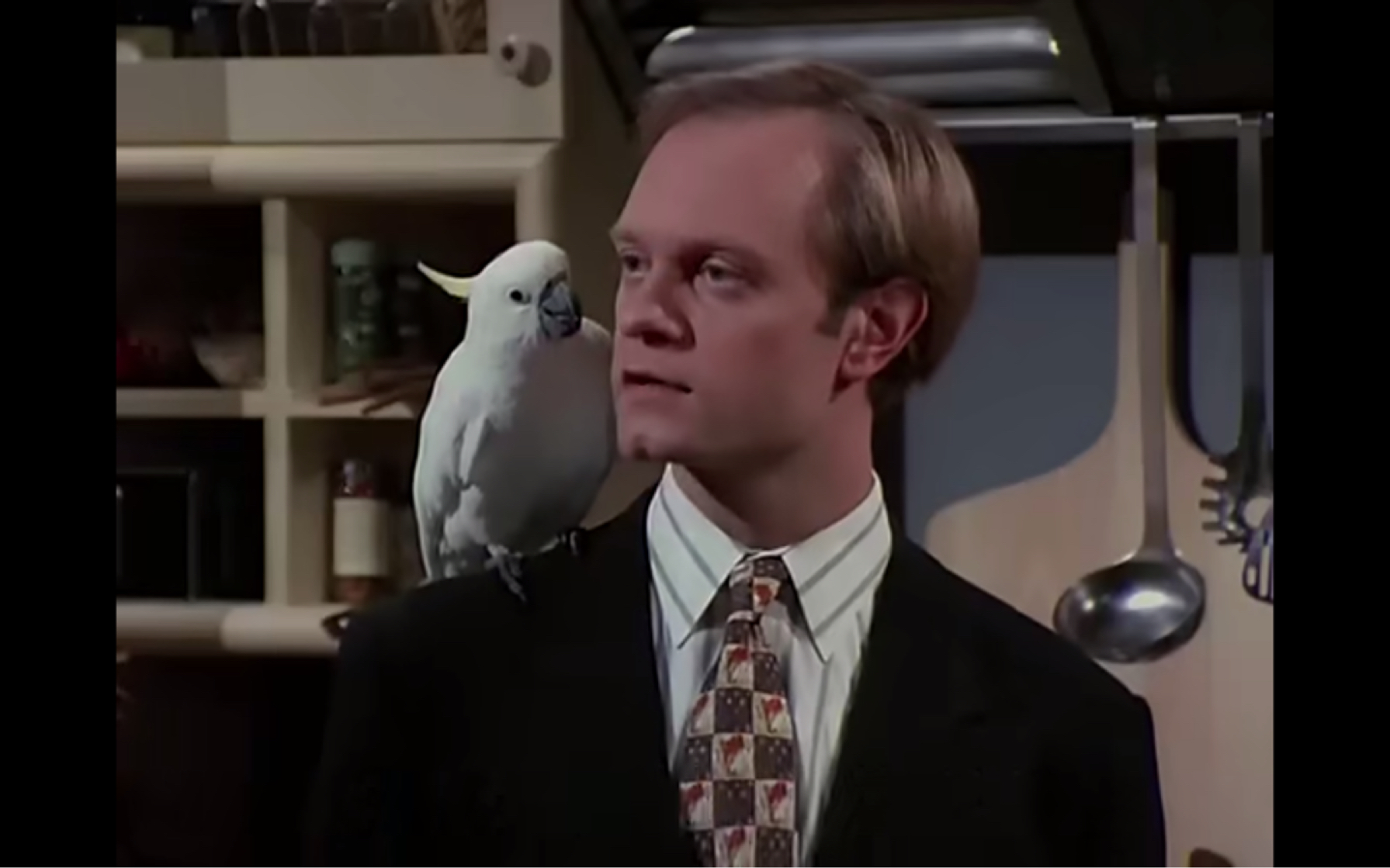 欢乐一家亲niles搬到蒙大拿住宅区啦新宠物