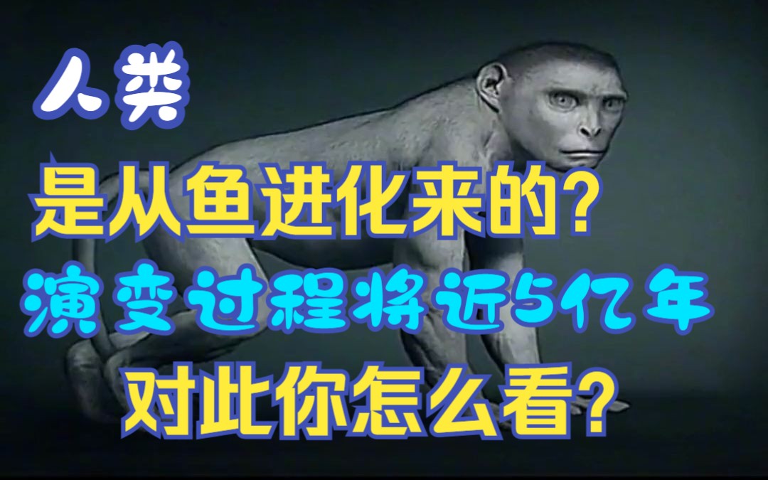 人类竟然是从鱼进化来的,从鱼到人演化过程史需近5亿年 对此你怎么看?哔哩哔哩bilibili