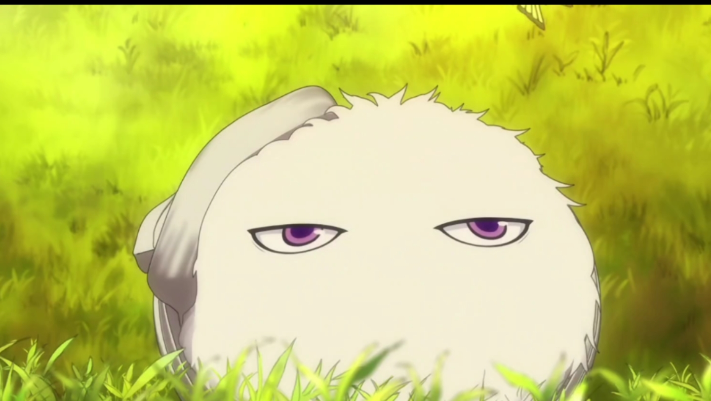 【不愉快的怪物庵】好想拥有一只毛茸茸,太可爱了!