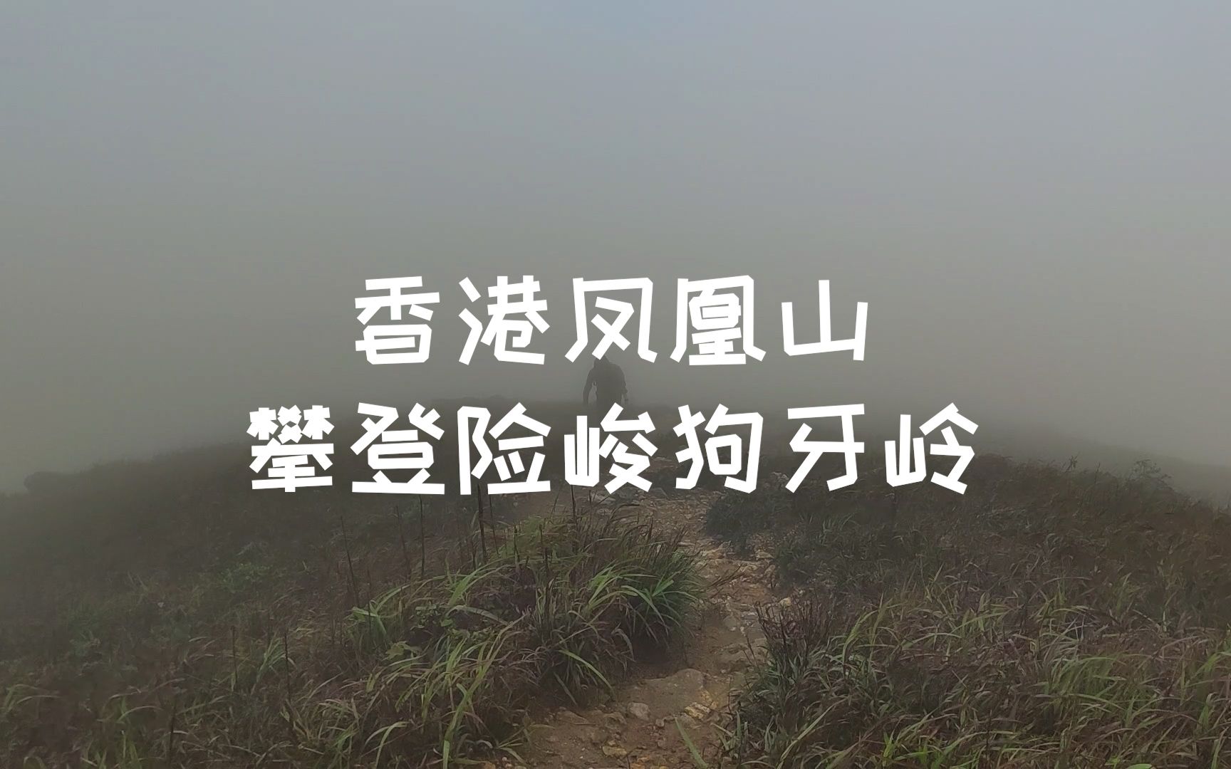 香港凤凰山,雨雾天攀登险峻狗牙岭,有种寂静岭徒步的感觉哔哩哔哩bilibili