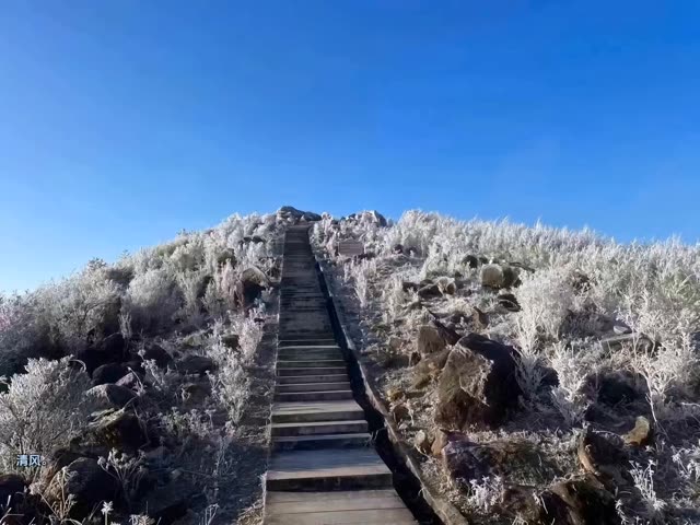 雾凇最佳观赏地图片