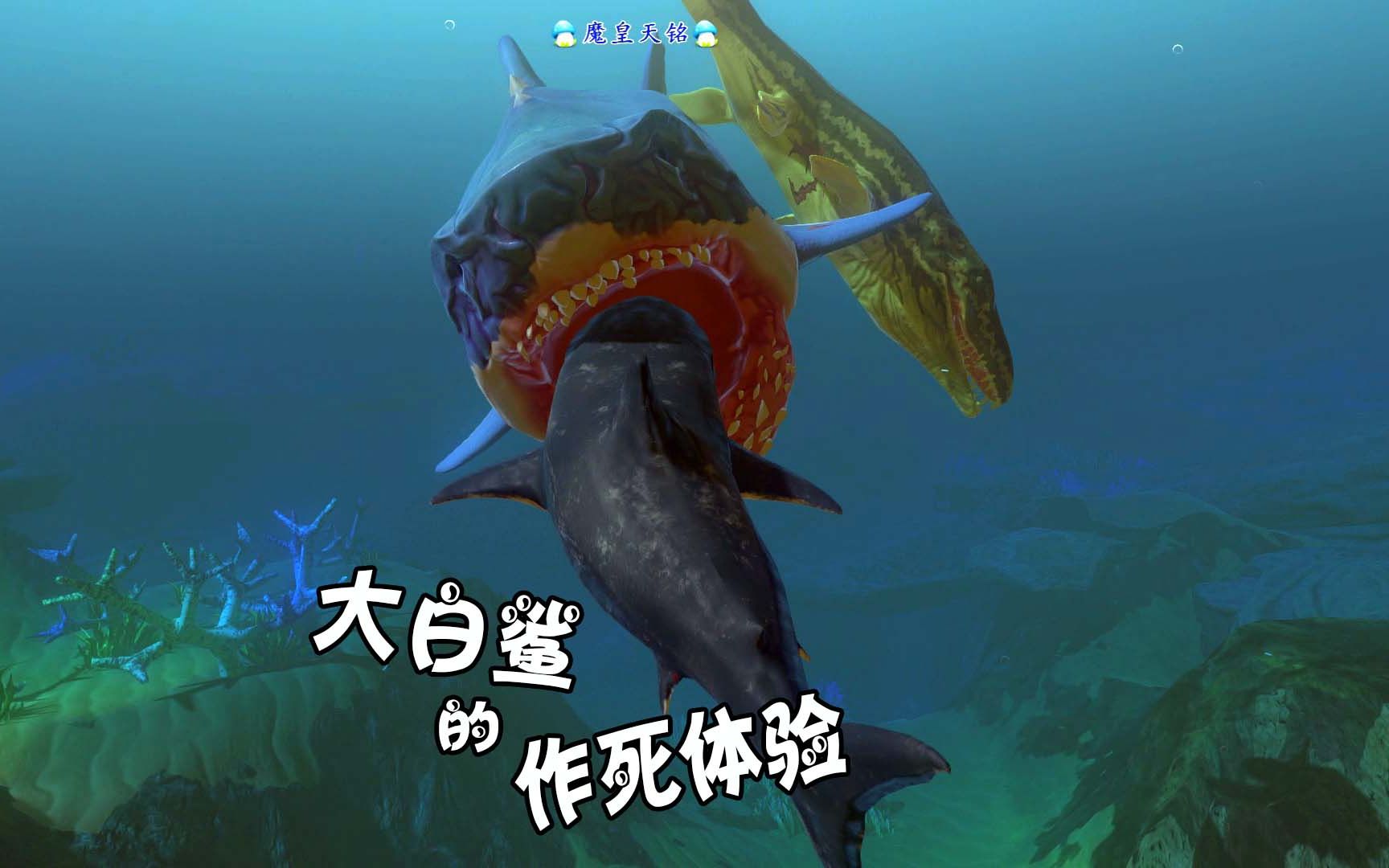 天铭 海底大猎杀 第二季 99 老大的痛苦之大白鲨