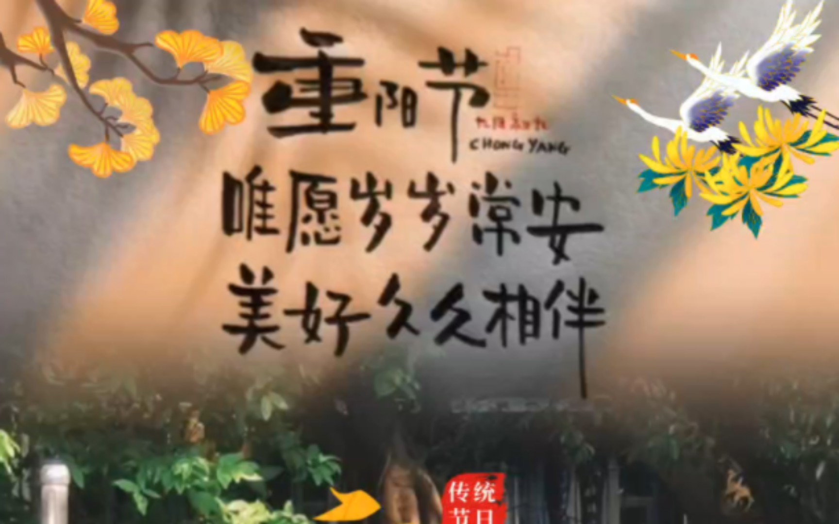 今又重阳 重阳节视频模板