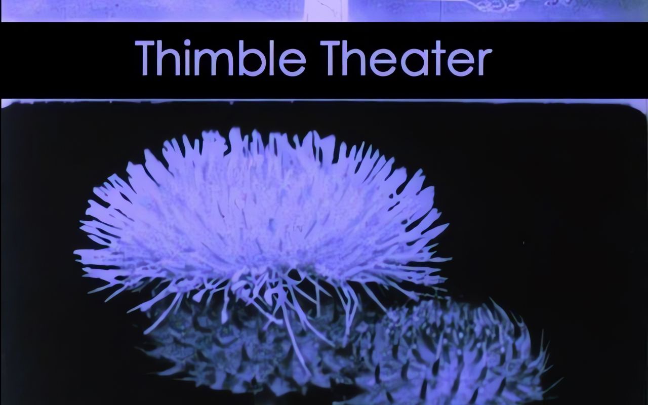 顶针剧场 Thimble Theater (1938)丨约瑟夫ⷧ瑥別𐔥“”哩哔哩bilibili