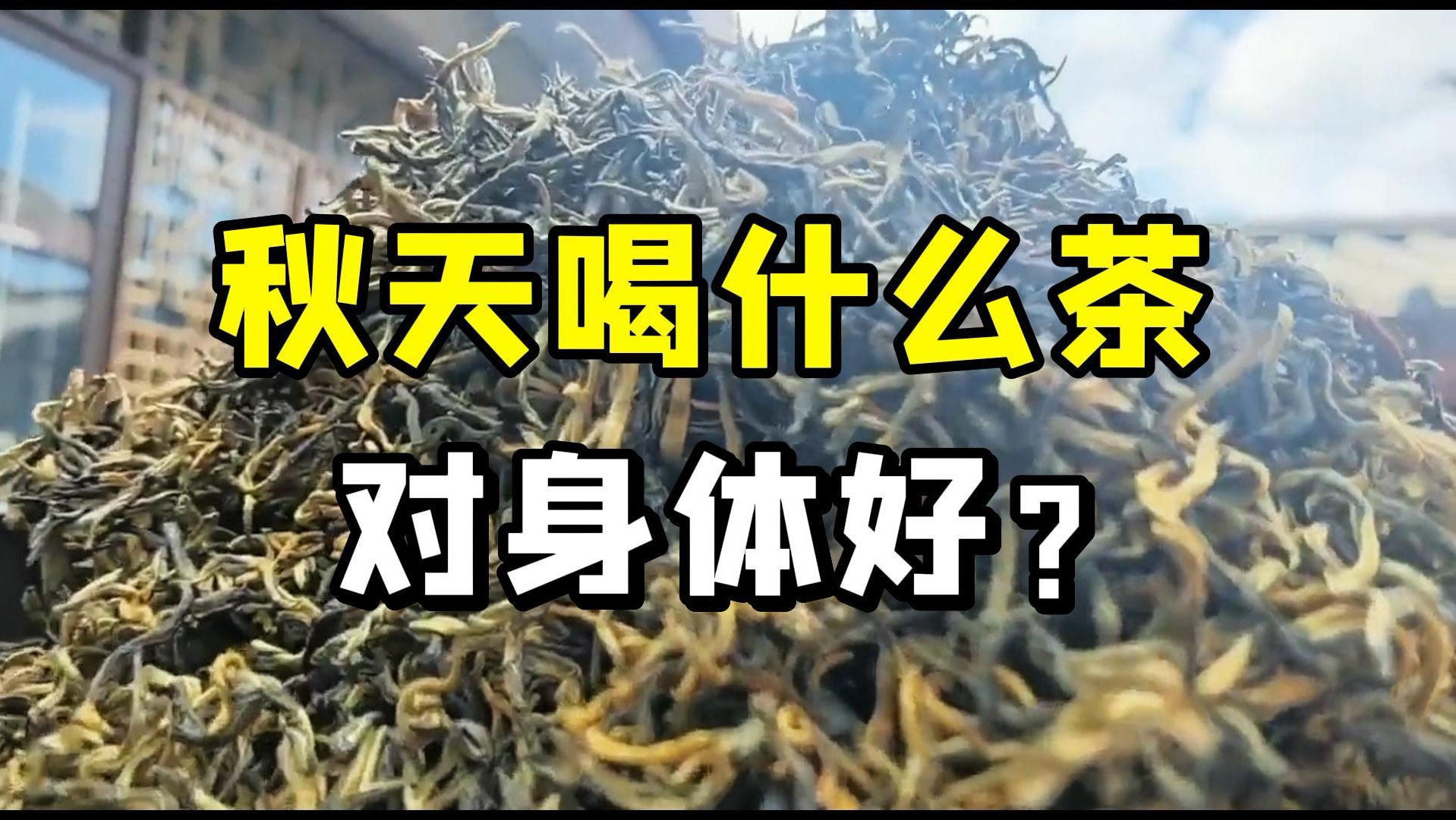 秋季茶叶推荐!买多少都是批发价!哔哩哔哩bilibili