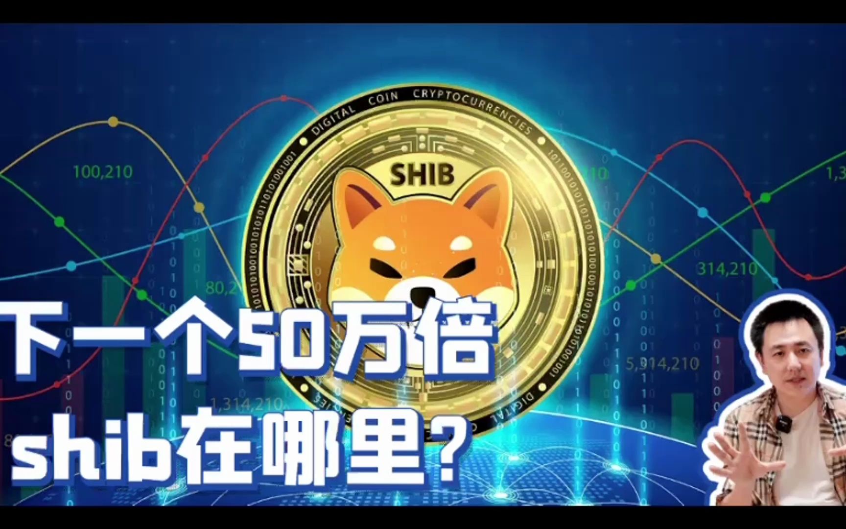 下一个50万倍shib在哪里?哔哩哔哩bilibili