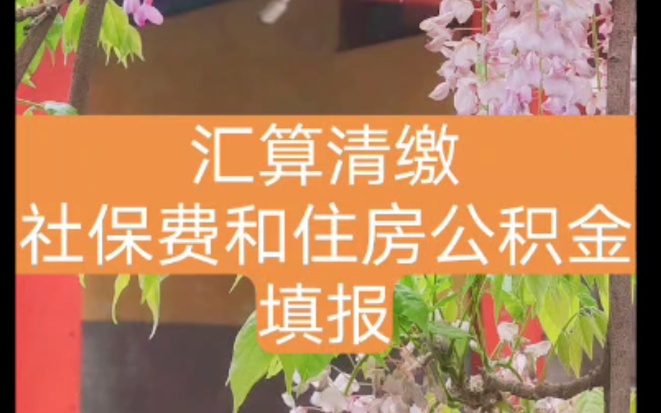 汇算清缴社保费和住房公积金的(企业所得税)税前扣除填报哔哩哔哩bilibili