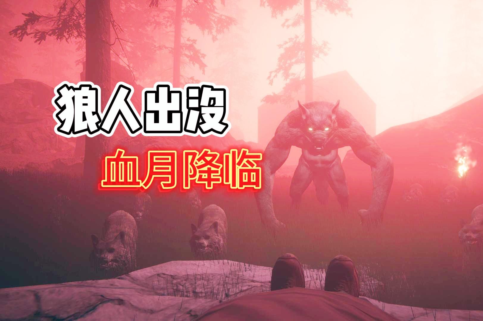 月圆之夜,狼人出没!