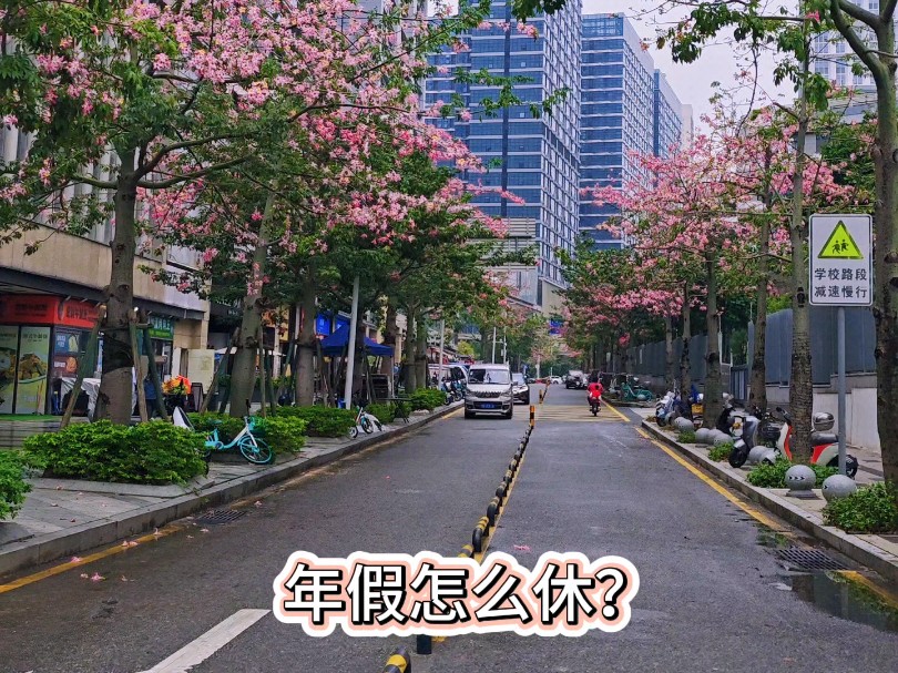 年假怎么休?看看法律规定~哔哩哔哩bilibili