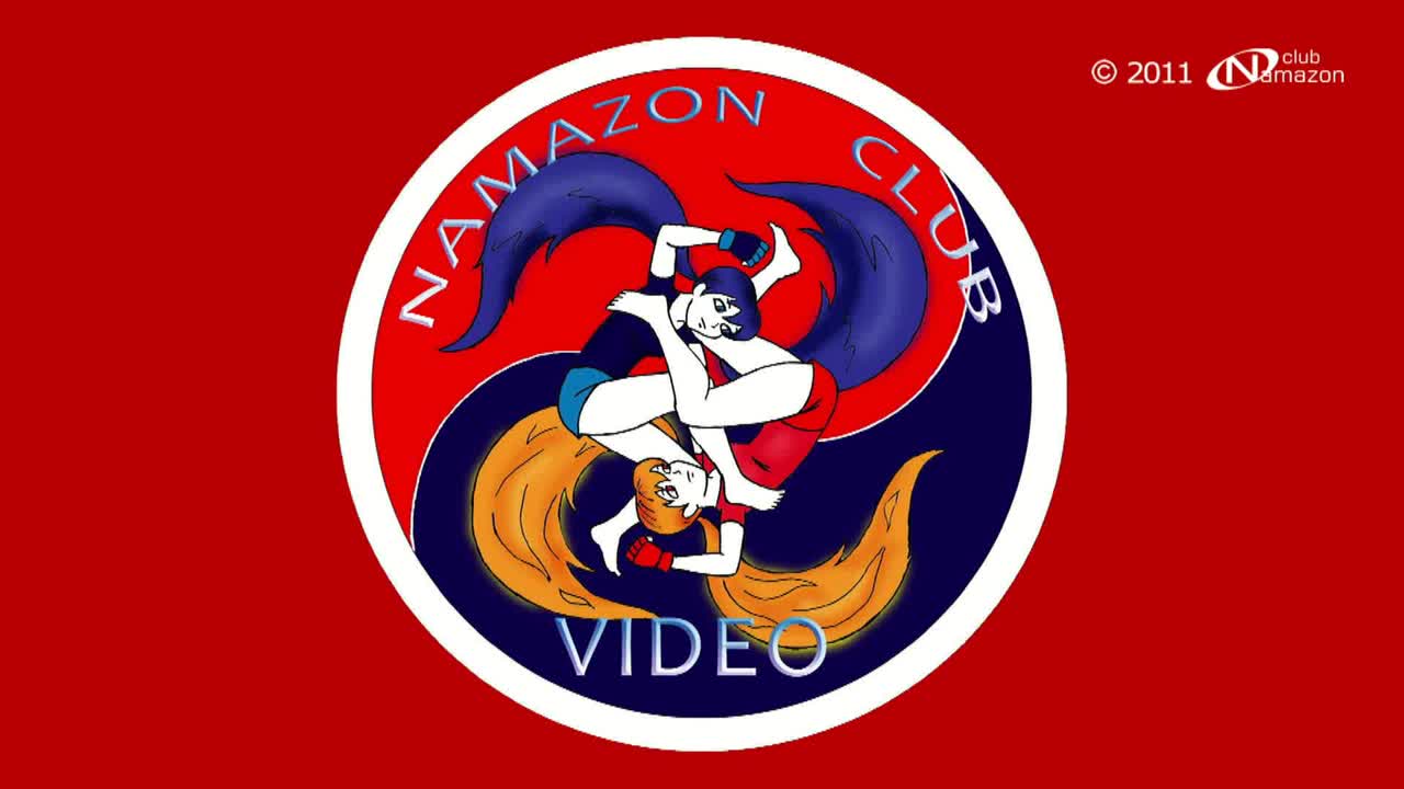 美国自由式摔跤合集(哲♀学向)