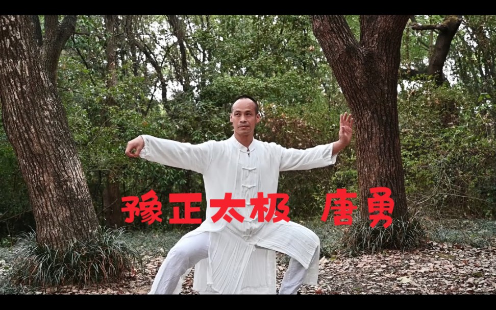 陈式太极拳传人唐勇,李连杰太极张三丰,永州豫正太极文化院零基础学太极拳哔哩哔哩bilibili