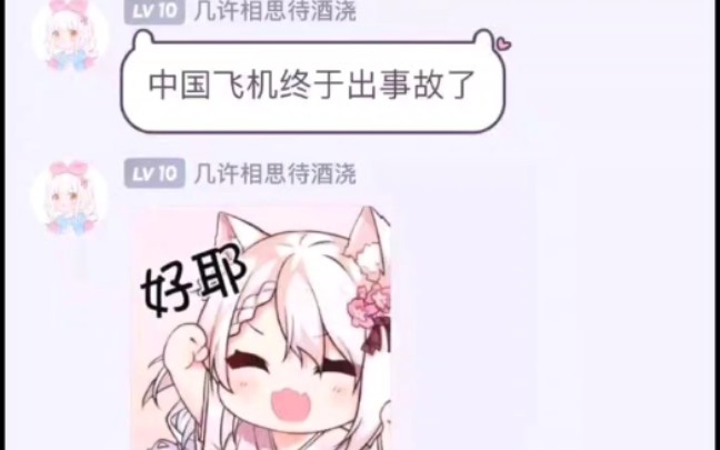 《慕洋犬》哔哩哔哩bilibili