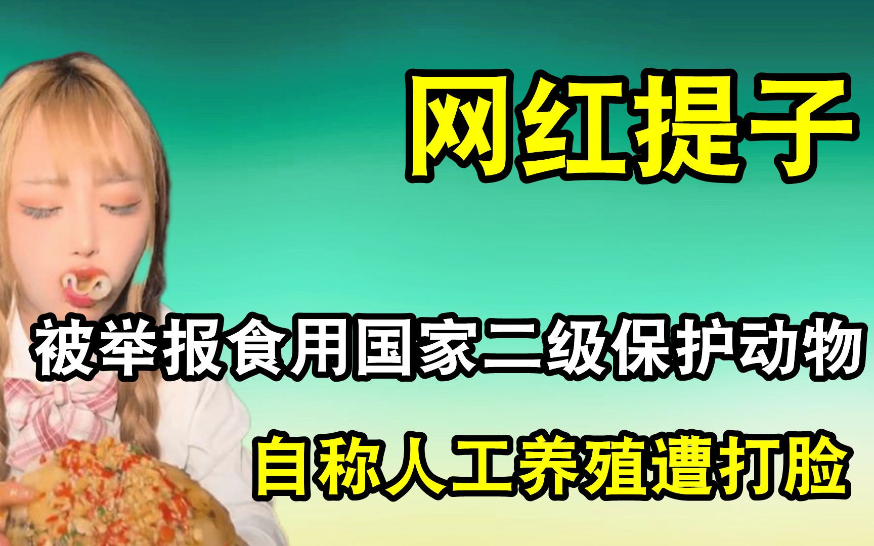 网红提子为博流量无下限,烹饪濒危保护动物遭痛批,她还能刑吗?哔哩哔哩bilibili