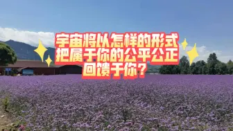 Tải video: 【郭星池sunshine】宇宙将以怎样的形式把属于你的公平公正回馈于你？(不限时空)