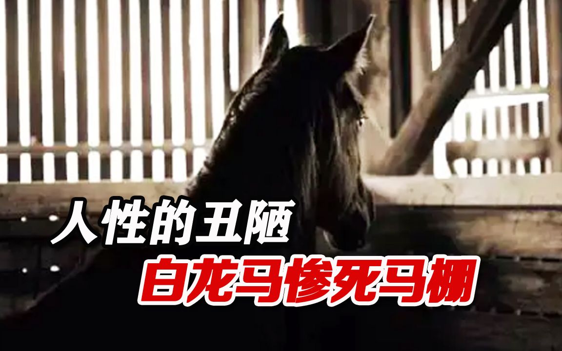 西游记拍摄完后演员们都开启了大红人生只有白龙马尸骨无存