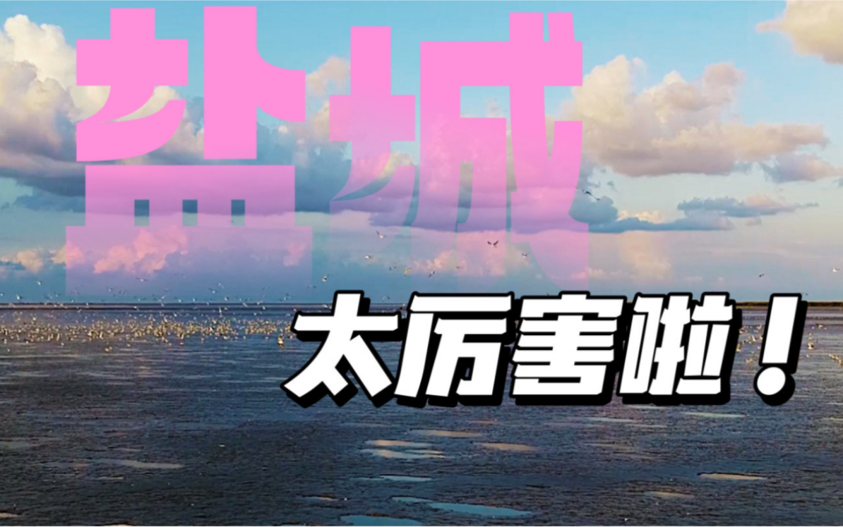 盐城居然这么厉害!哔哩哔哩bilibili