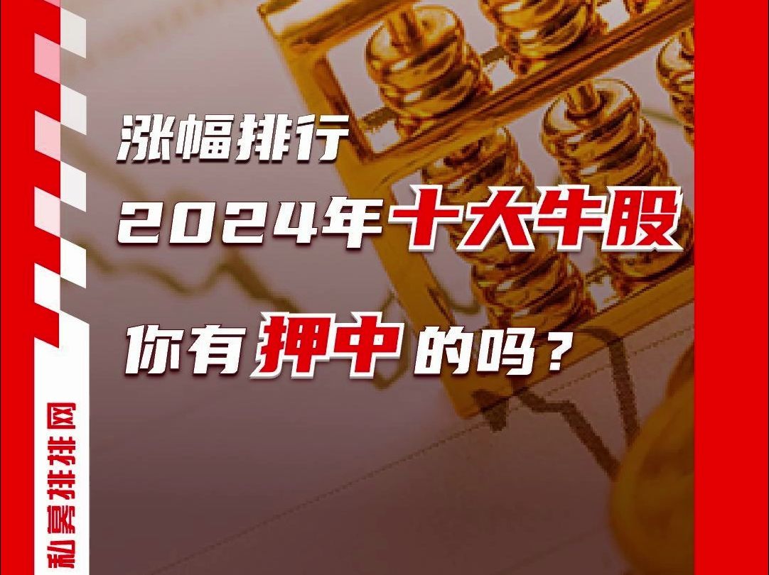 2024年十大牛股,谁最令你惋惜?哔哩哔哩bilibili