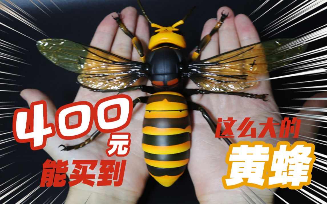400块钱买了个比手掌还大的日本大黄蜂海洋堂02revogeo金环胡蜂开箱